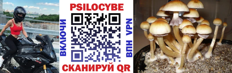 Галлюциногенные грибы мухоморы  МЕГА ссылка  Володарск 